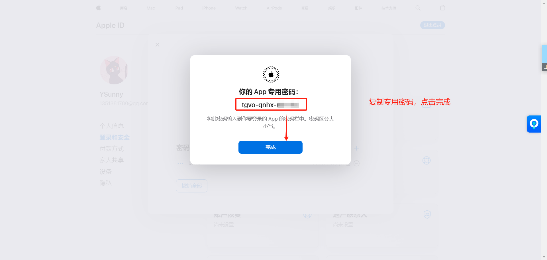 复制生成的 App 专用密码
